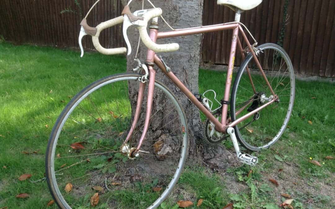 A Cursed Bertin with Columbus Tubing