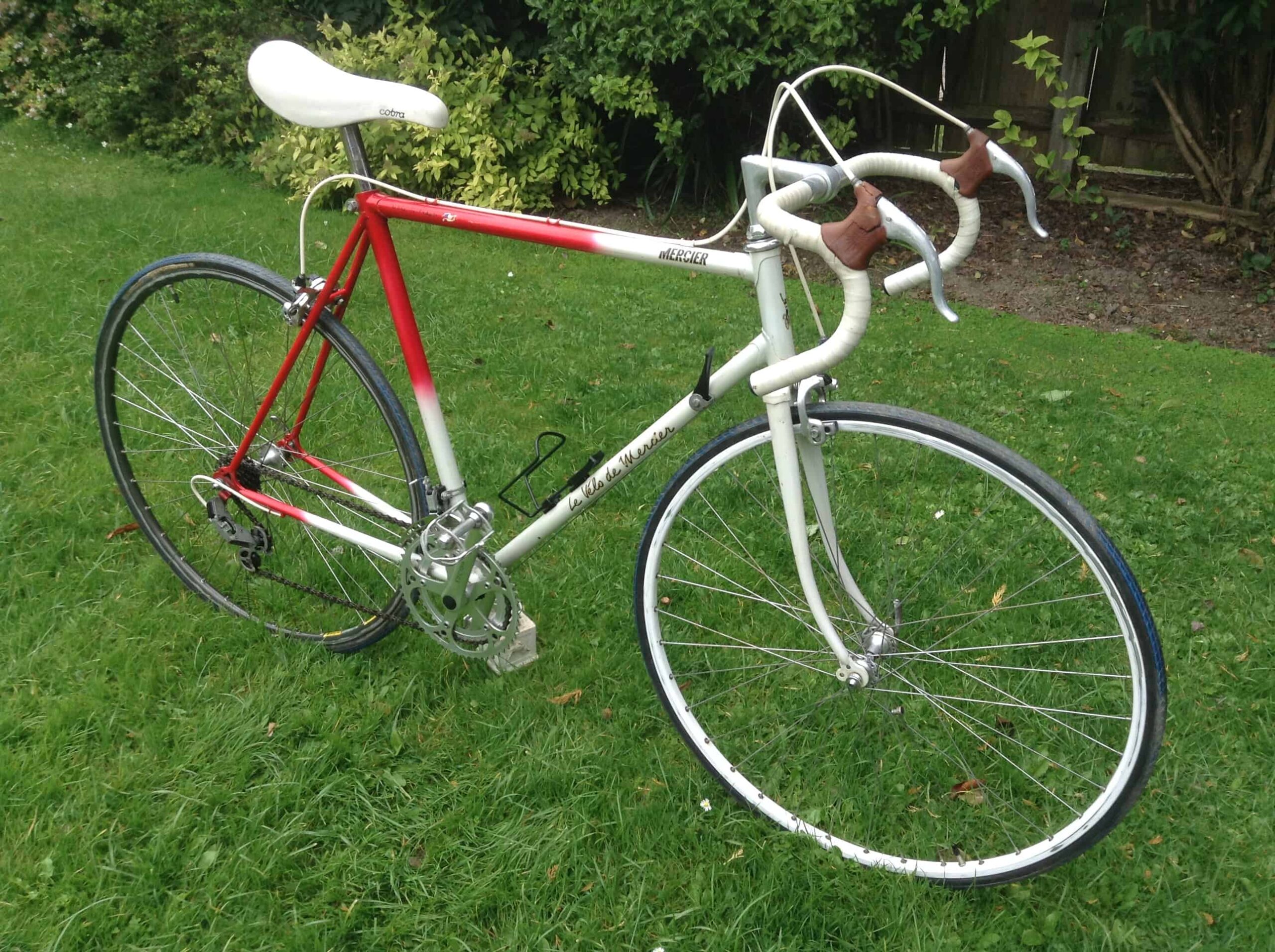 peugeot tradition bicycle