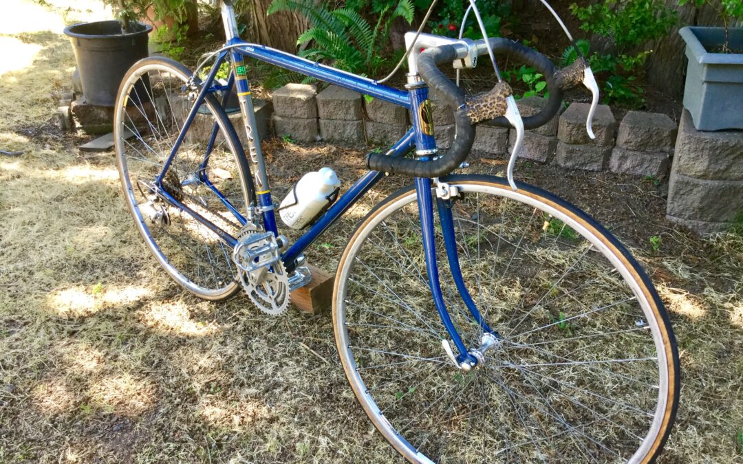 trek 500 bike